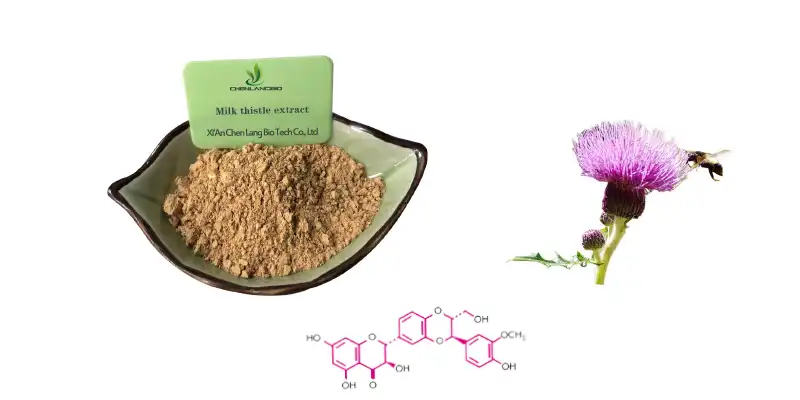 Milk Thistle Extract.jpg